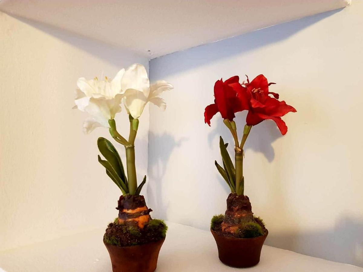 Apartamento Cortadura Beach Cadiz Luaran gambar